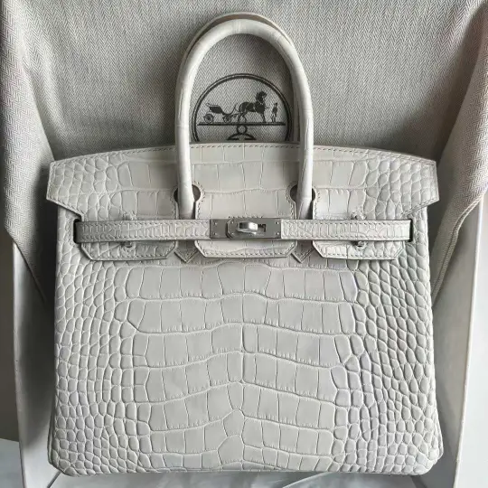 Birkin 25