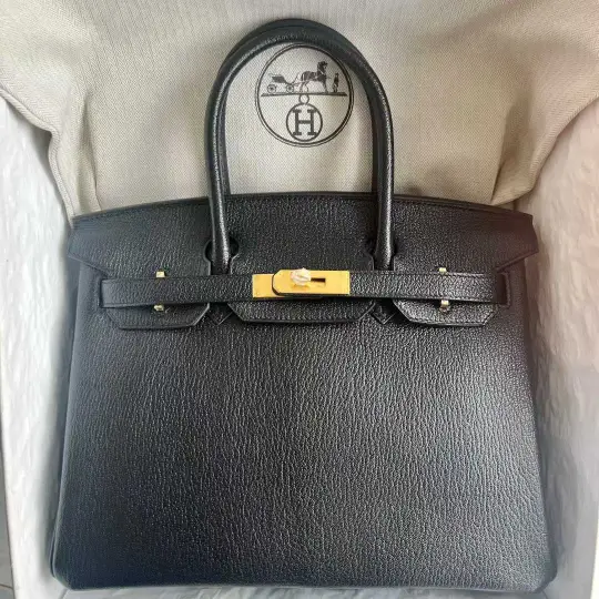 Birkin 30