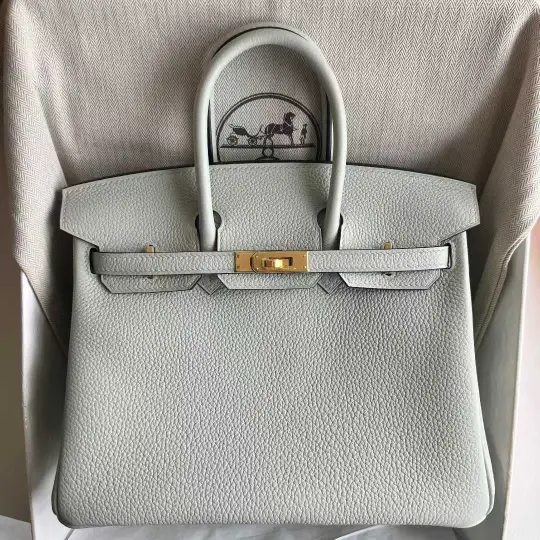 Birkin 25