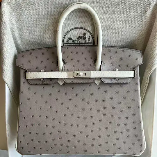 Birkin 25
