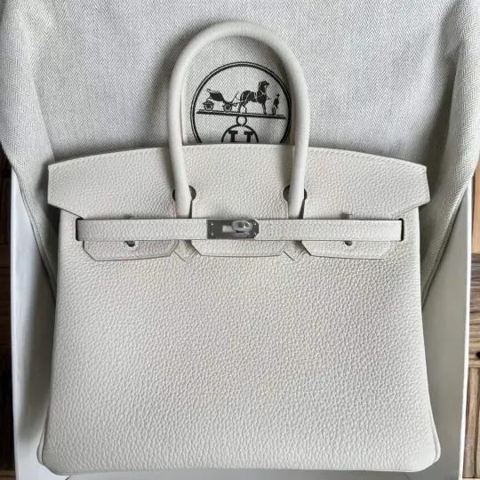 Birkin 25