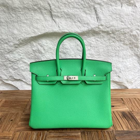 Birkin 25