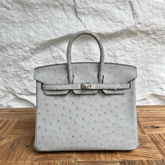 Birkin 25
