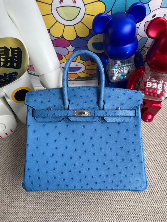 Birkin 25