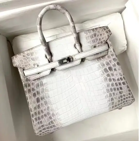 Birkin 25
